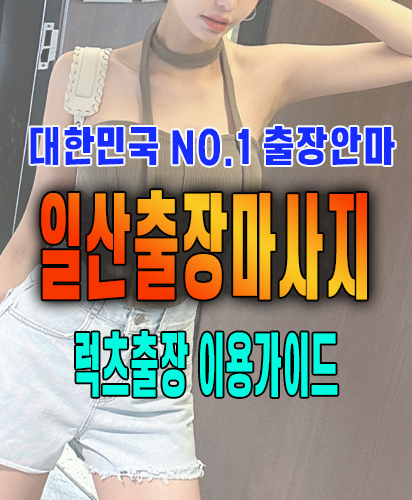 일산출장마사지 일산출장안마 럭스출장 이용가이드